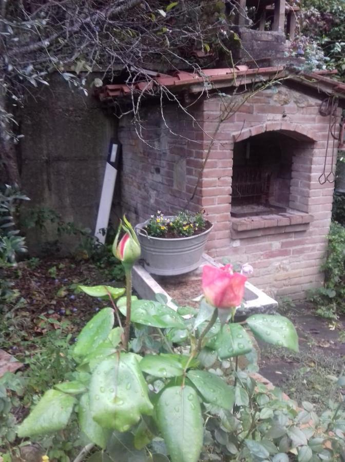 Casa Patti Alle Porte Di Сиена Экстерьер фото