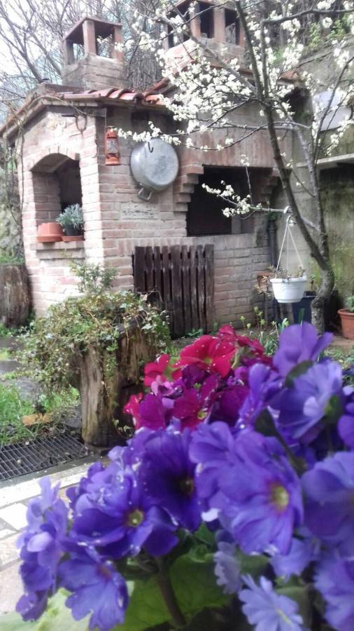Casa Patti Alle Porte Di Сиена Экстерьер фото