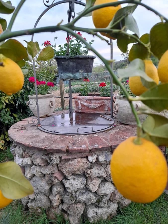 Casa Patti Alle Porte Di Сиена Экстерьер фото