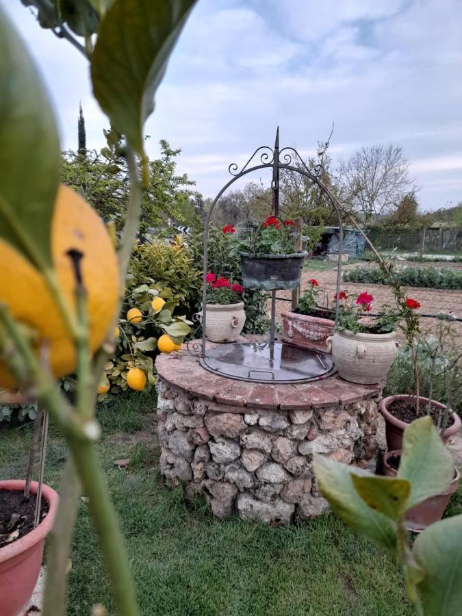 Casa Patti Alle Porte Di Сиена Экстерьер фото